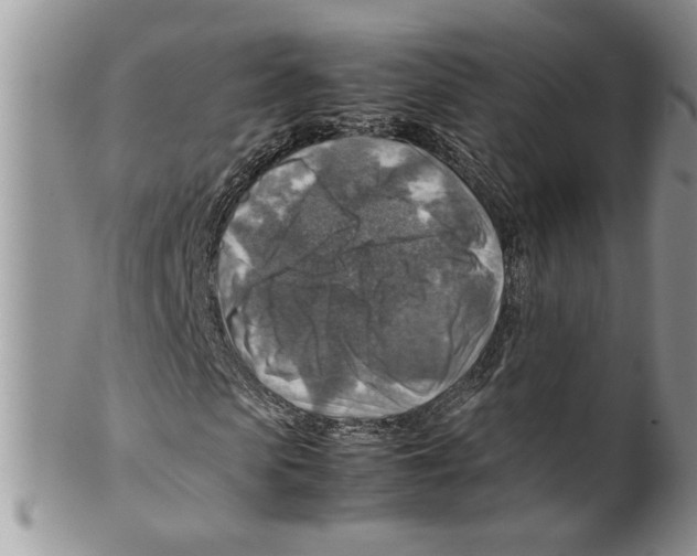 X0000099530913200806131124