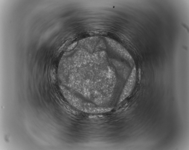 X0000099530915200806131124