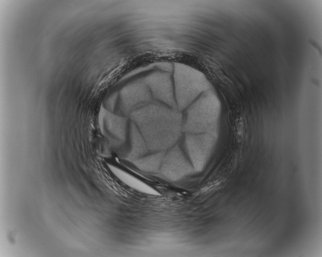 X0000099530916200806131124