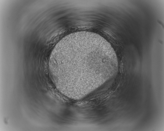 X0000099530917200806131124