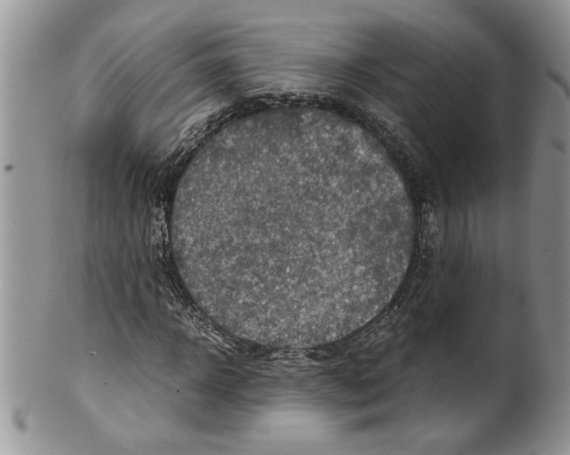 X0000099530918200806131124