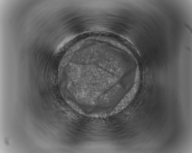 X0000099530919200806131124