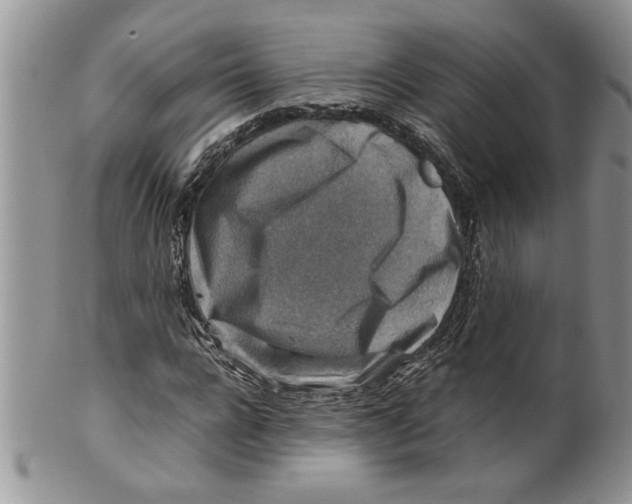 X0000099530920200806131124