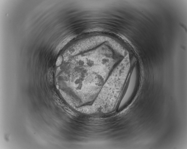 X0000099530921200806131124