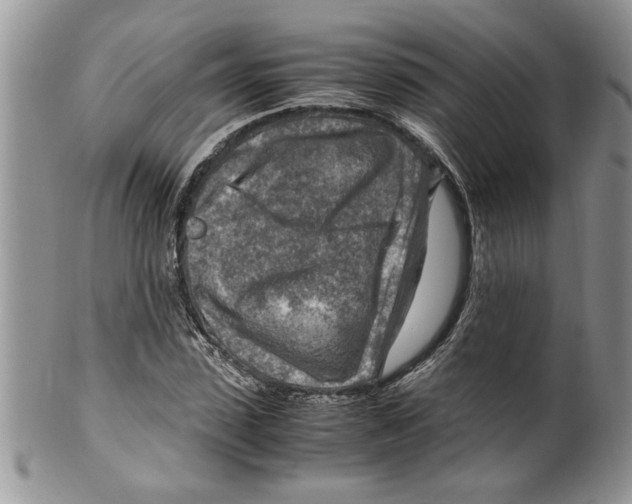 X0000099530923200806131124