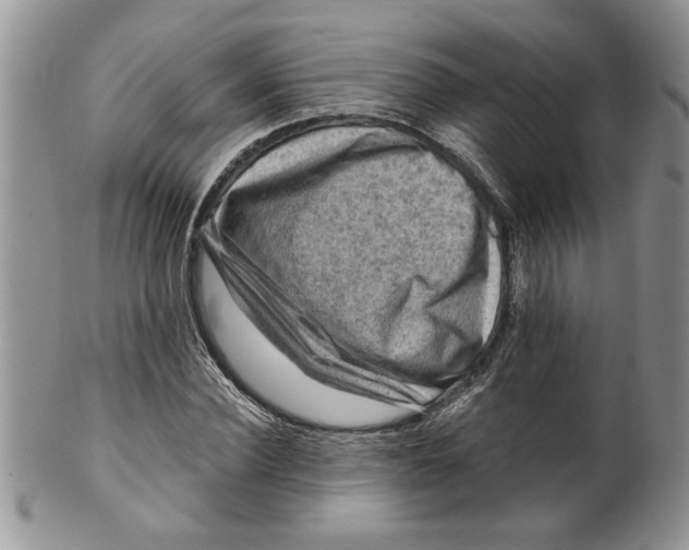 X0000099530924200806131124