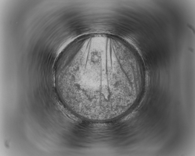 X0000099530925200806131124