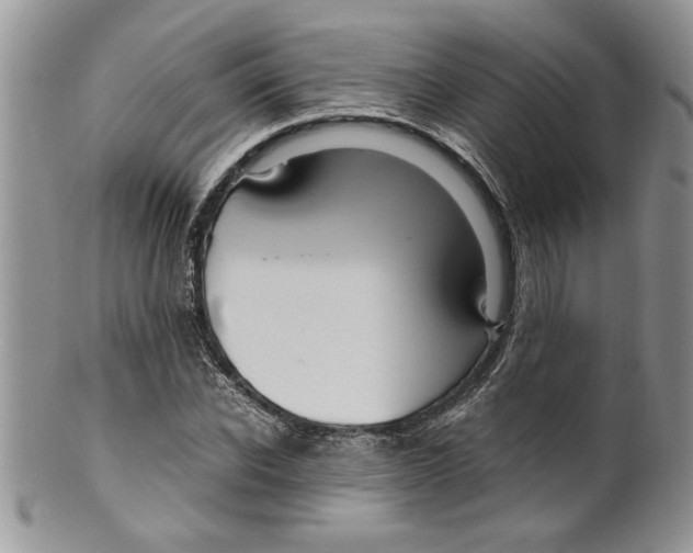 X0000099530926200806131124