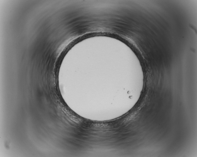 X0000099530927200806131124