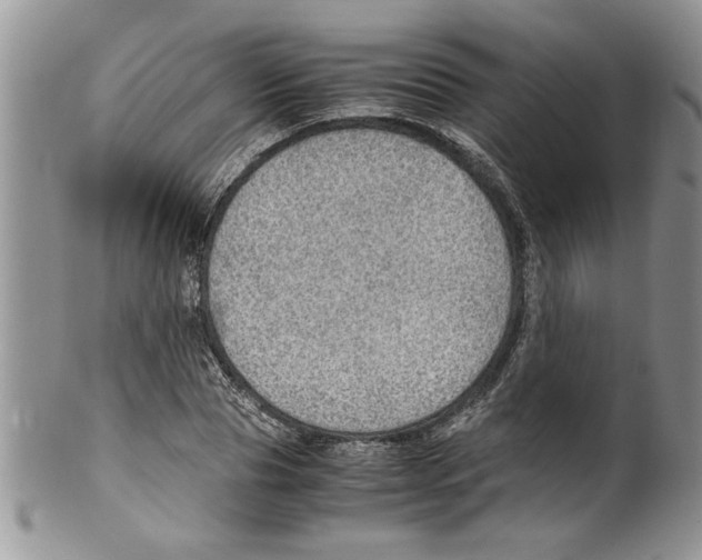 X0000099530929200806131124