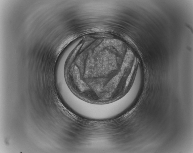 X0000099530930200806131124