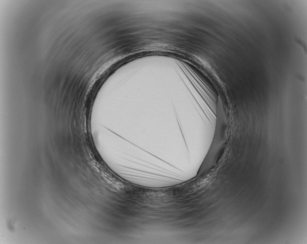 X0000099530931200806131124