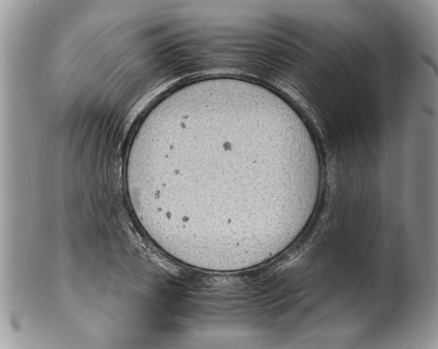 X0000099530933200806131124