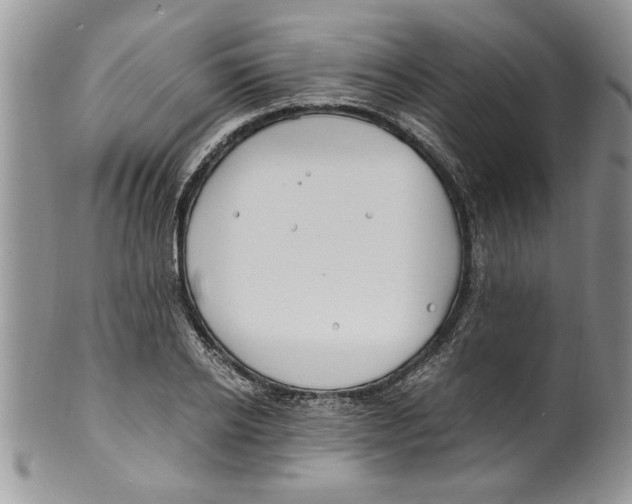 X0000099530934200806131124