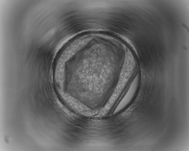 X0000099530935200806131124