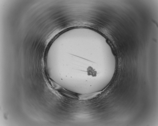 X0000099530936200806131124