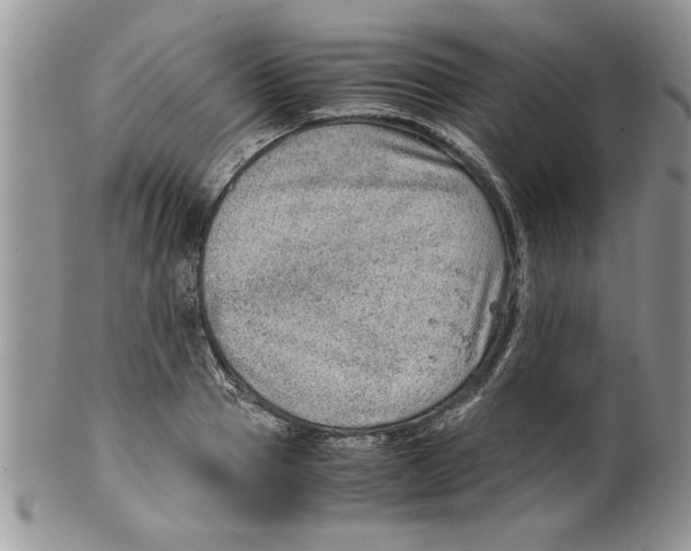 X0000099530937200806131124