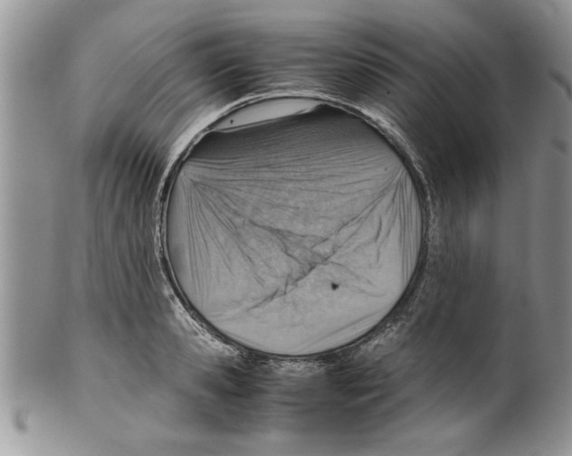 X0000099530941200806131124