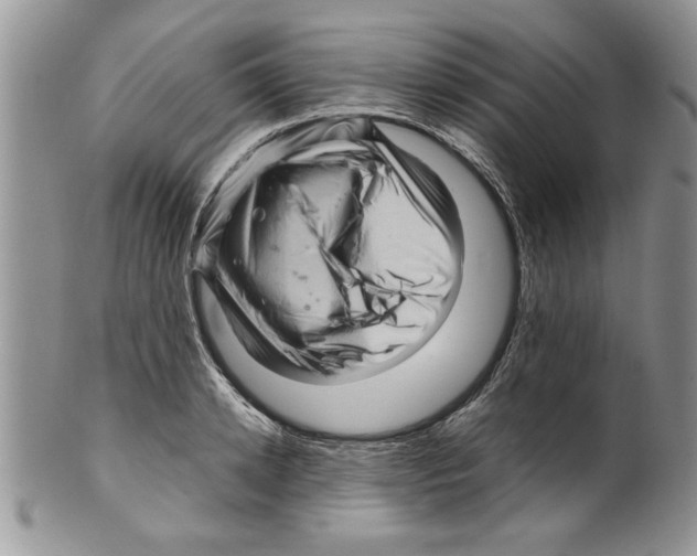 X0000099530942200806131124