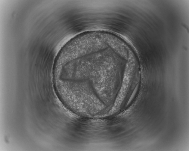 X0000099530943200806131124