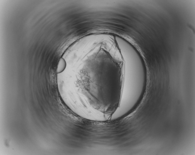 X0000099530945200806131124