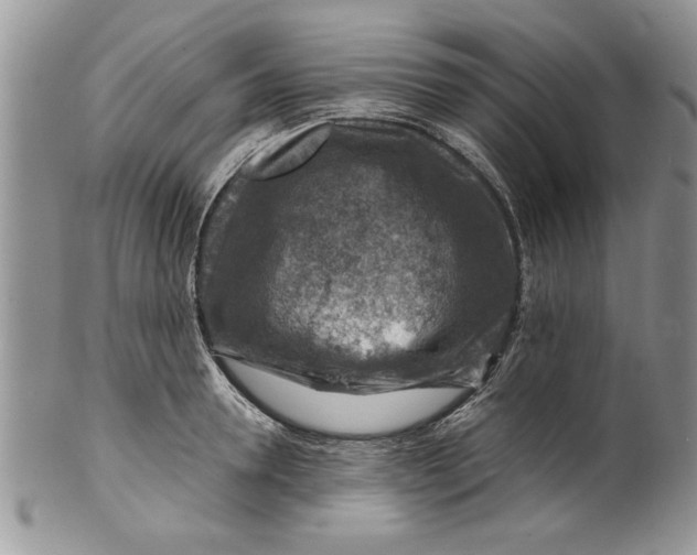 X0000099530946200806131124