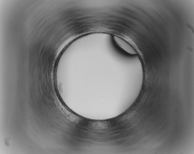 X0000099530947200806131124