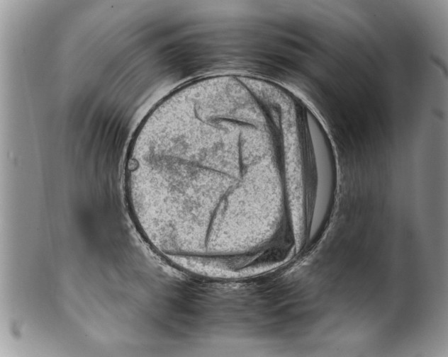 X0000099530949200806131124