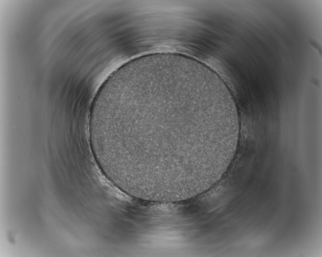 X0000099530950200806131124