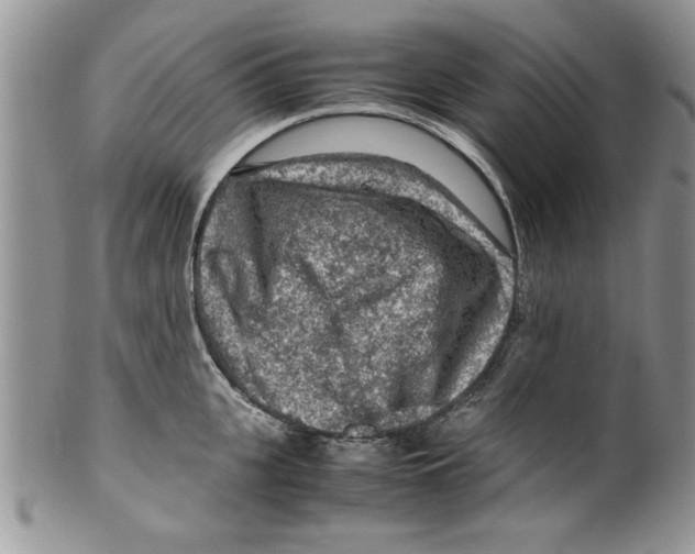 X0000099530951200806131124