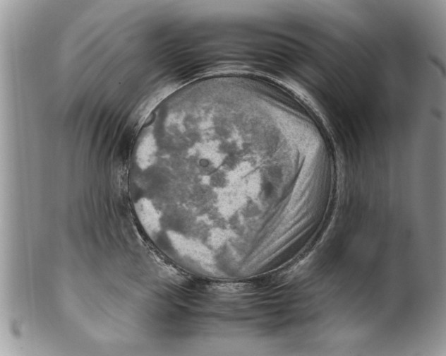 X0000099530953200806131124