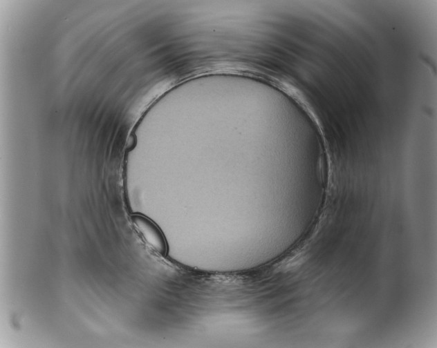 X0000099530954200806131124