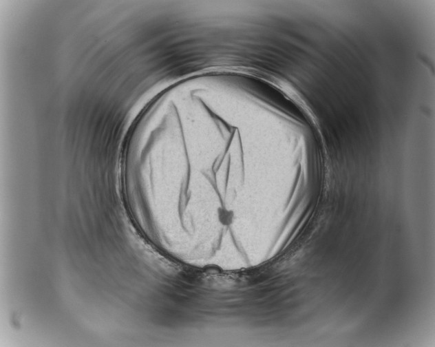 X0000099530955200806131124