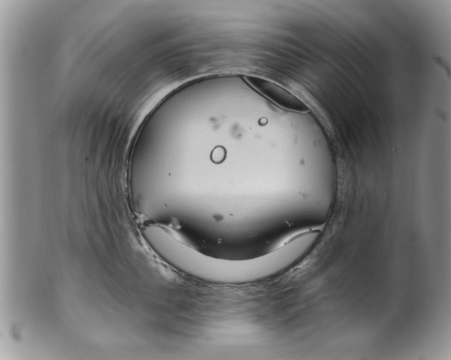 X0000099530956200806131124