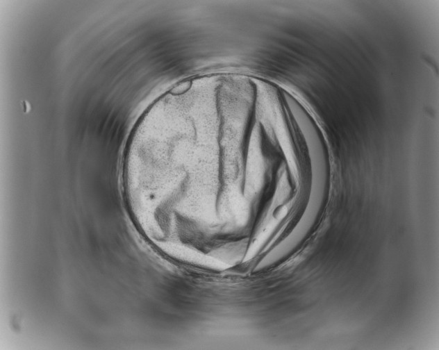 X0000099530957200806131124