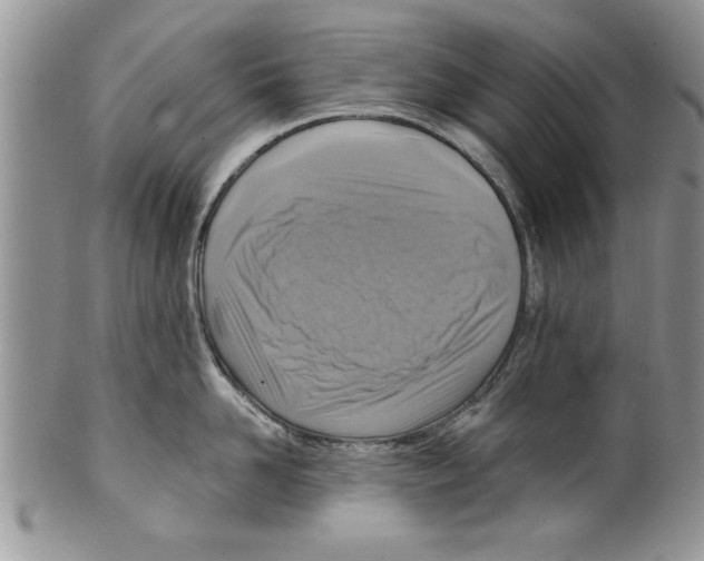 X0000099530958200806131124