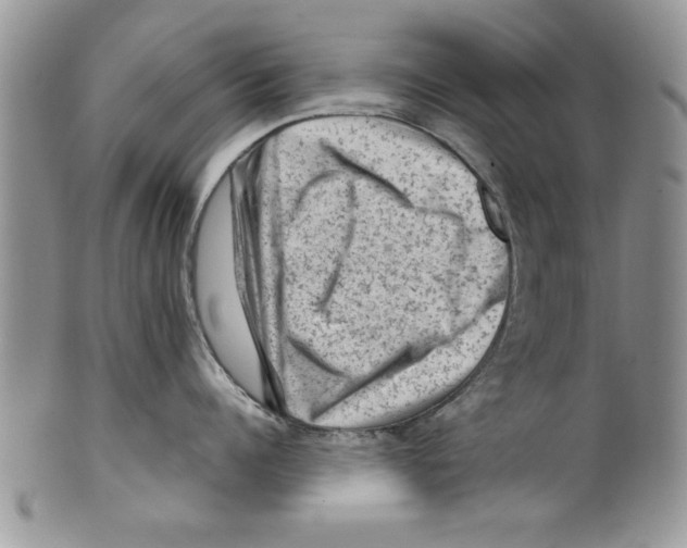 X0000099530960200806131124