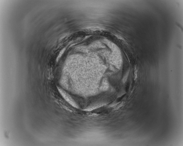 X0000099530965200806131124