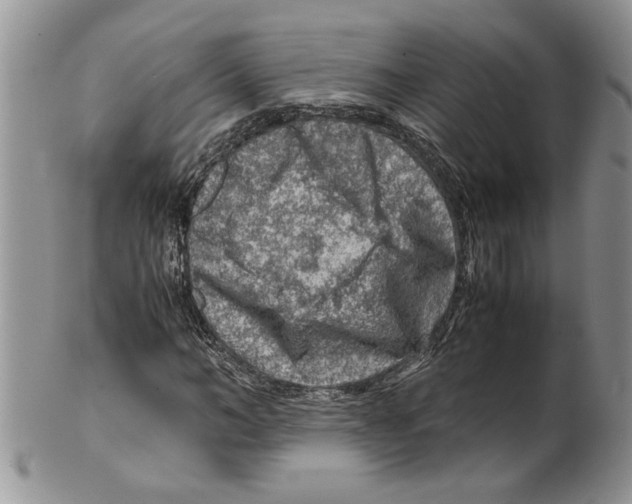 X0000099530966200806131124