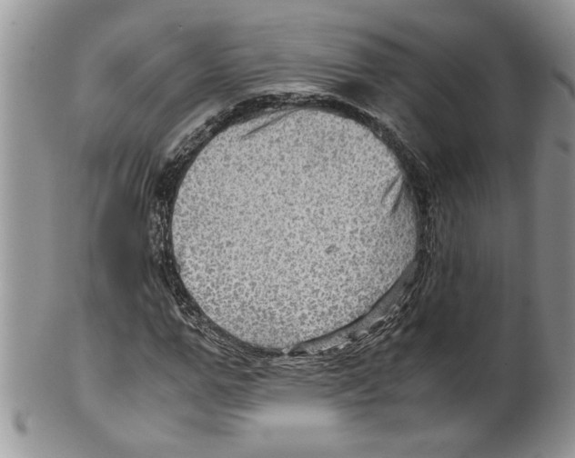 X0000099530967200806131124