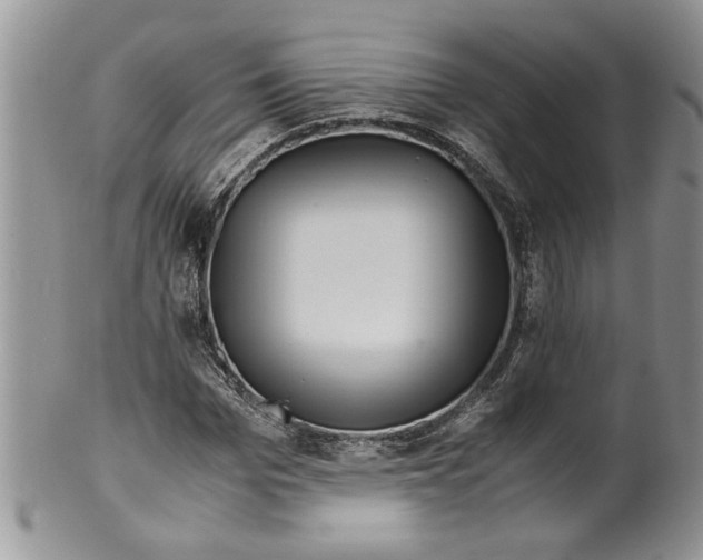 X0000099530969200806131124