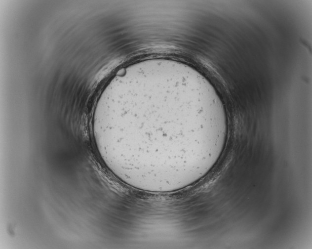 X0000099530970200806131124