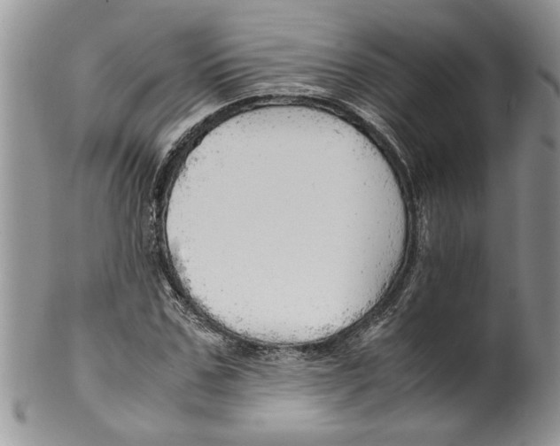 X0000099530971200806131124