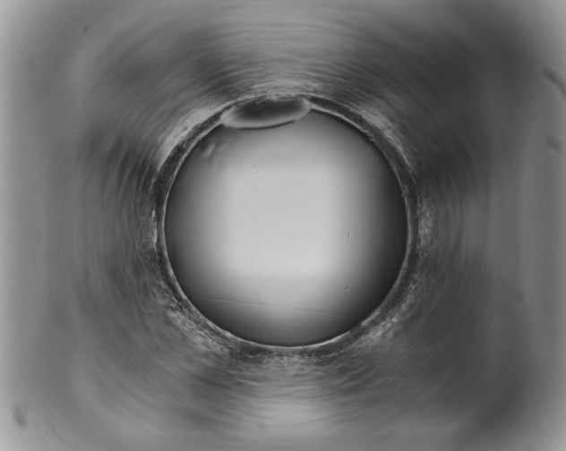 X0000099530973200806131124