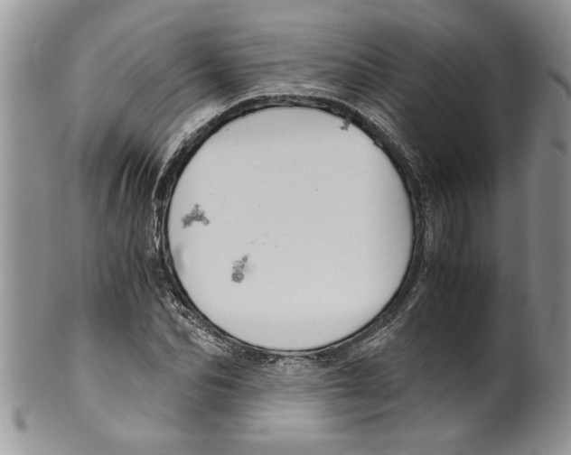 X0000099530974200806131124