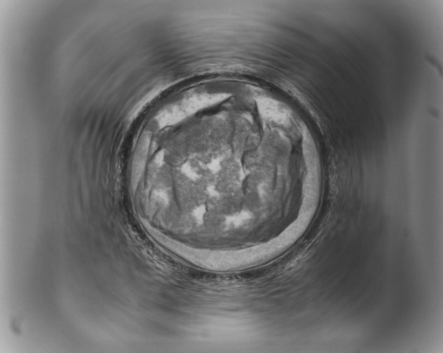 X0000099530975200806131124