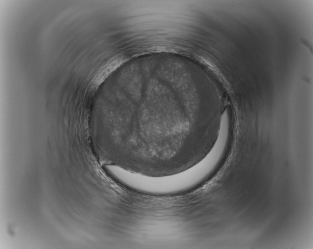 X0000099530977200806131124