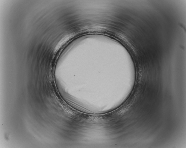 X0000099530978200806131124