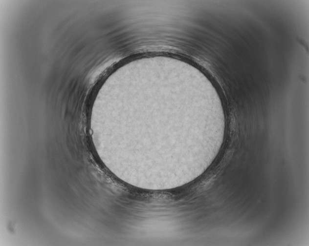 X0000099530979200806131124