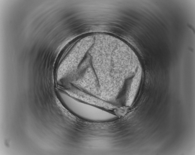 X0000099530980200806131124